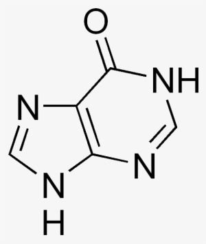 Hypoxanthine - Diagram #770804