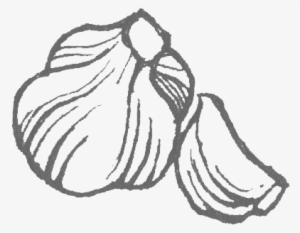 Floating-garlic - Sketch #770806