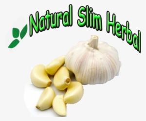 Herbal Garlic #771046