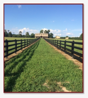 Serving North Carolina, South Carolina, Virginia For - Split-rail Fence #771096
