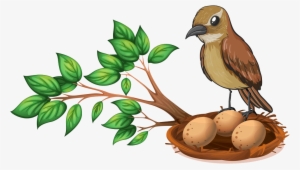 Lenid Day Care - Bird Nest On Tree Clipart #771148