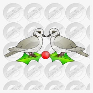 Two Turtle Doves Picture For Classroom / Therapy Use - Pigeons And Doves #771348 Two Turtle Doves Picture For Classroom / Therapy Use - Pigeons And Doves #771348