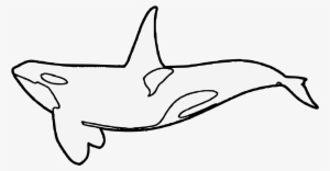 Details, Png - Line Art #773049