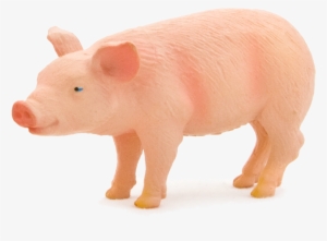 Animal Planet Piglet - Imagens De Animais Porco #773074