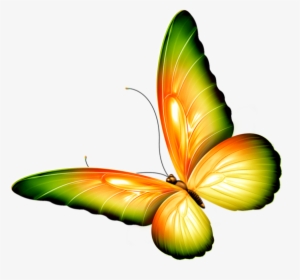 Clipart Flowers And Butterflies Border #773222