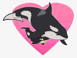 Tumblr Njsyal1jbt1r2elf0o1 500 - Whales #773366