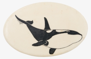 Orca Whale - Killer Whale #773388