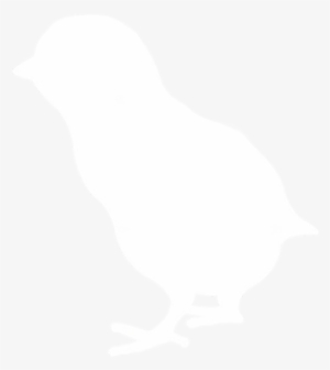 2018 Chick Season - Wood Thrush #773498