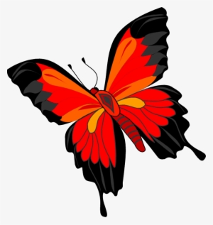 Butterfly Png Image - Ronyasoft Poster Printer Icon #773499