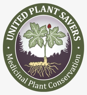 High Resolution - Shanti Vidya Niketan High School #773543