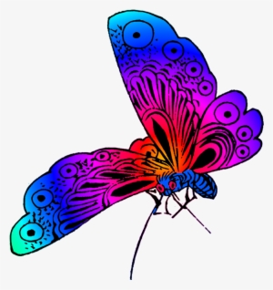 Colorful Beautiful Butterfly Images, Purple Butterfly - Beautiful Butterfly Clipart Png #773595