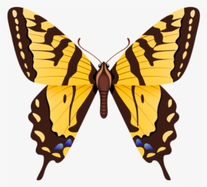 Butterfly Png Clipart Image - Tiger Swallowtail Butterfly #773908