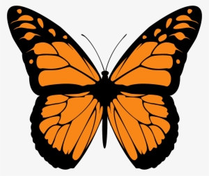 28 Collection Of Monarch Butterfly Clipart Png - Hindi Poem On Butterfly #773931