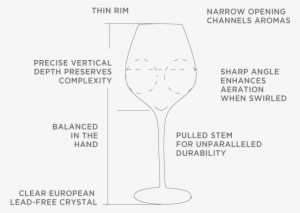 Where The Wine Hits On Your Tongue Made No Difference - Wine Glass #774633