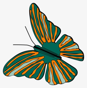 How To Set Use Green And Orange Butterfly Svg Vector #774753