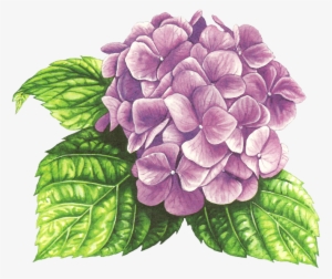 Bottle Caps, Drawing Ideas, Violets, Box Templates, - Drawing #776556