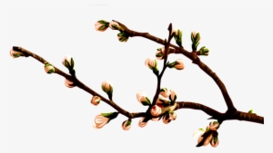 Весенний Набор - Twig #777724