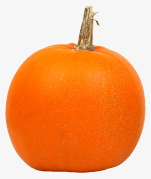 All Png Images Have A Transparent Background So They're - Pumpkins In A Row #777833