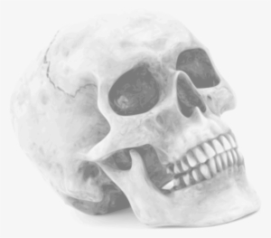 Skull Halloween Skull - Halloween Skull Shower Curtain #778289