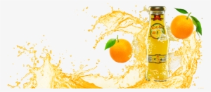 Fruit Juice Png #778967