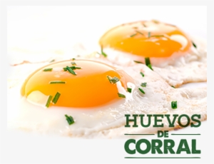 Eggs And Nutrition - Fried Eggs #779103