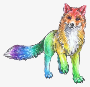 Rainbow Cute Animal Animals Sketch Art Drawing Colorful - Rainbow Fox #779463