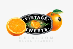Vintage Sweets - Tangerine #779779