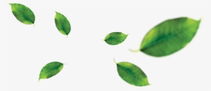 Peela Prides Itself On Our Premium Quality Juices Made - Orange Leaf Png #779879