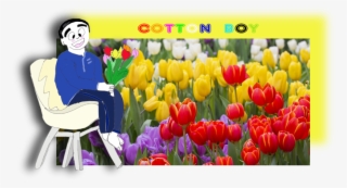 March 2, 2018 By Cotton Boy - Orange Tulips Meaning #7701477
