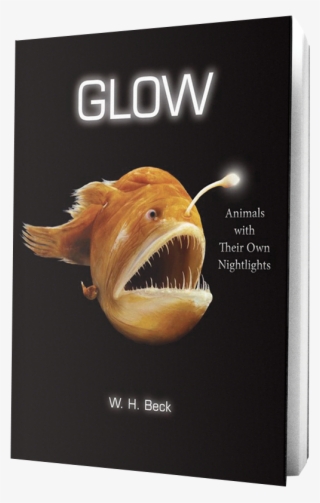 Glow Book On Transparent Background - Glow Animals With Their Own Night Lights #7701507