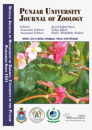 Dilute Sulphuric Acid Pretreatment Optimization Of - Government Of Pakistan #7701542