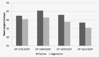 Average Plant Height For Each Cotton Variety And Treatment - Plot #7701941