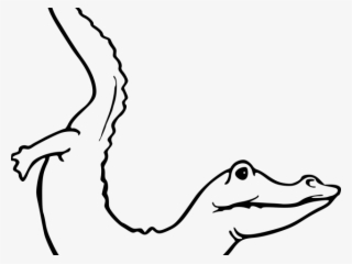 Drawn Head Alligator - Clip Art #7702365