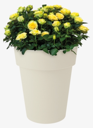 Home > Collection > Green Basics Top Planter High - Flowerpot #7702419