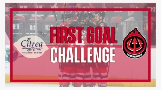 Choose Which Of The #7702461