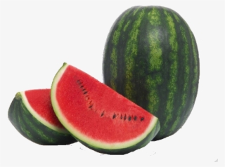Tropical Watermelon Png Photo Background - Watermelon Sensei #7702932