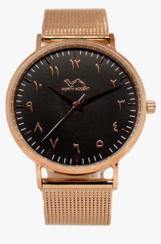 Rose Gold Stainless Steel - Orologio Daniel Wellington Donne #7707488