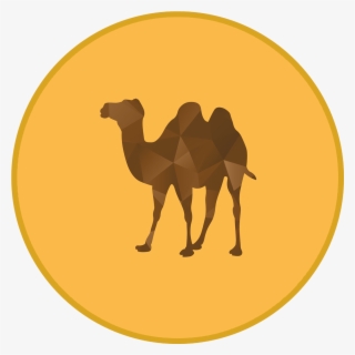1701 X 1771 5 - Camel Silhouette No Background #7711587
