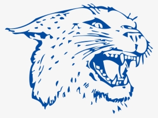 Colton School District - Colton Wildcats #7711692