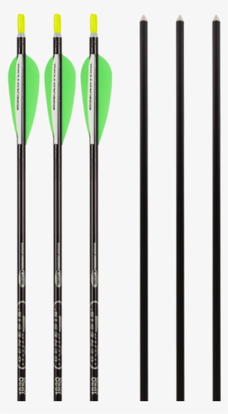 Black Arrows Gen - Oar #7712430