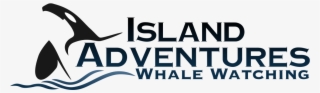 Newest Fastest Safest Vessel In Washington State Island - Island Adventures Whale Watching #7713096