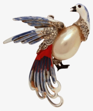 1940s Bird Of Paradise Pin Red White Blue Cold Enamel - Peafowl #7713134