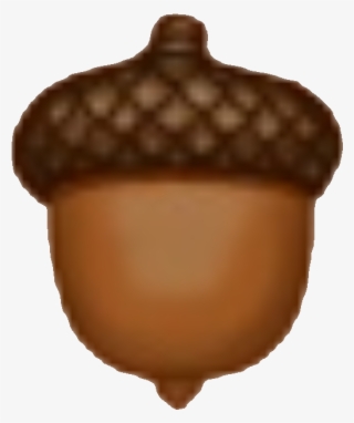 Acorn - Chocolate #7714439 Acorn - Chocolate #7714439