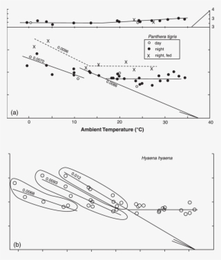 Rate Of Metabolism And Body Temperature As A Function - Diagram #7714759