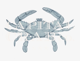 Capital Crab - Co - Crab #7716676