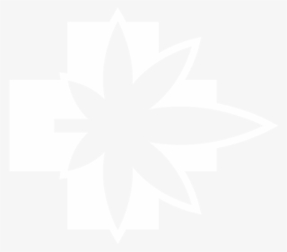 Most Popular Cannabis Card Application Process Kindhealth - Flower #7717340