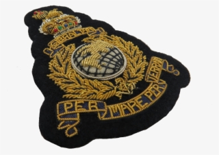 Badge #7718245 Badge #7718245