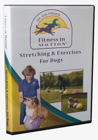 Stretching - Rabbit #7718988