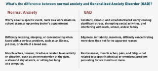 Dealing With Stress & Anxiety, For Me - Selection Of Man Wildlife Conflict #7719412