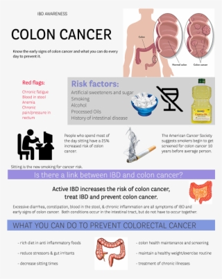 The Colon Or Large Intestine Is The Last Part Of The - Bowel Cancer Vs Ibd #7720899